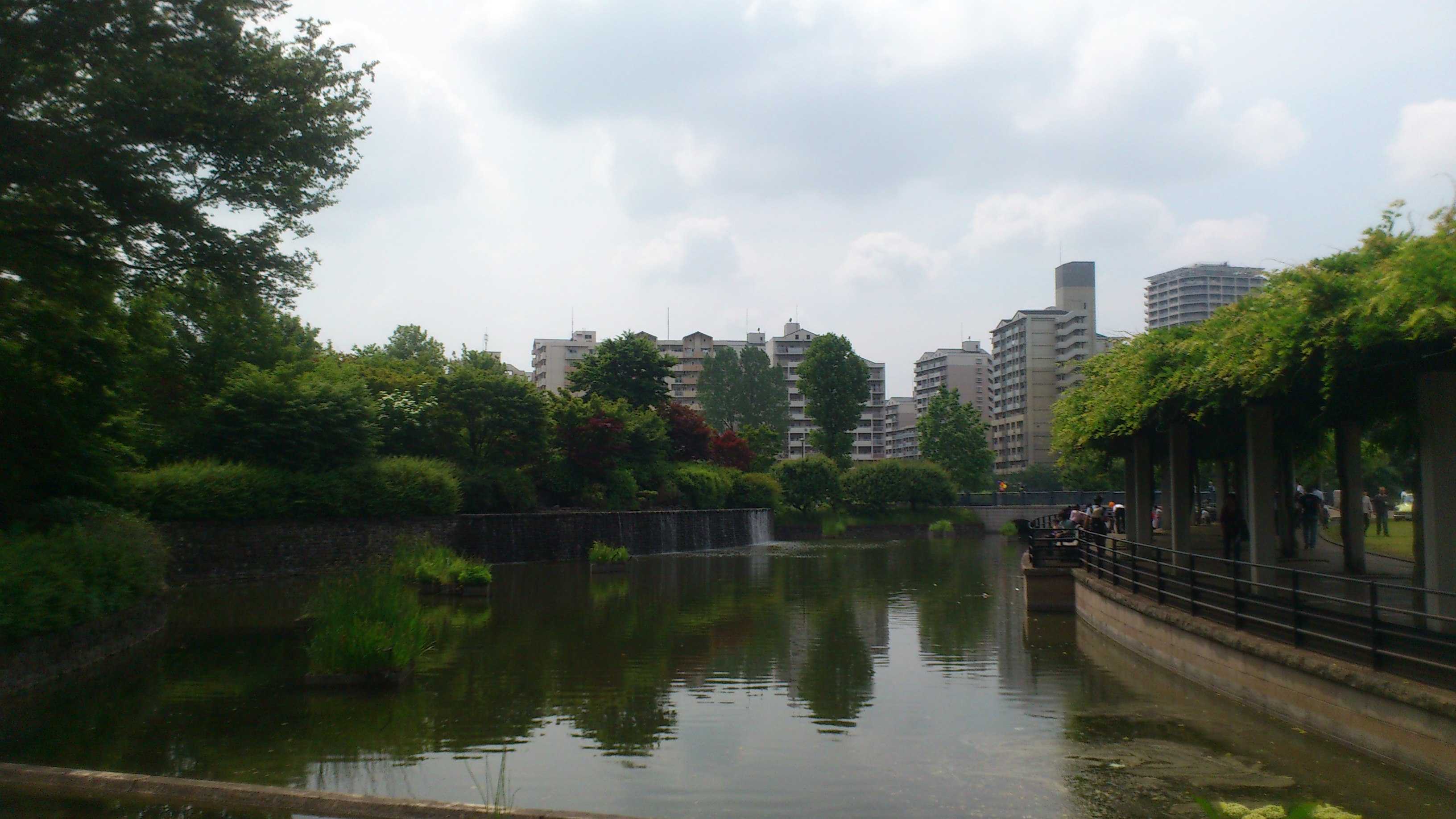 DSC_0125.JPG/></a>