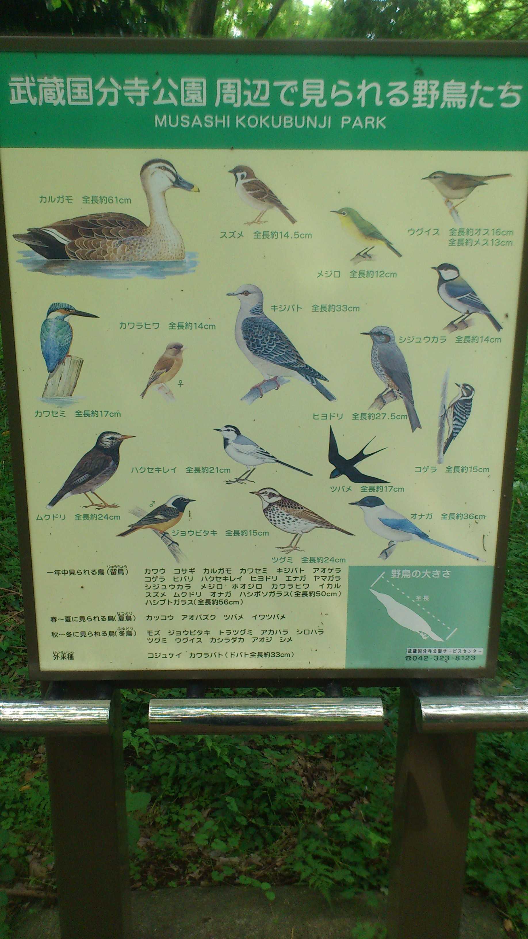 DSC_0130.JPG