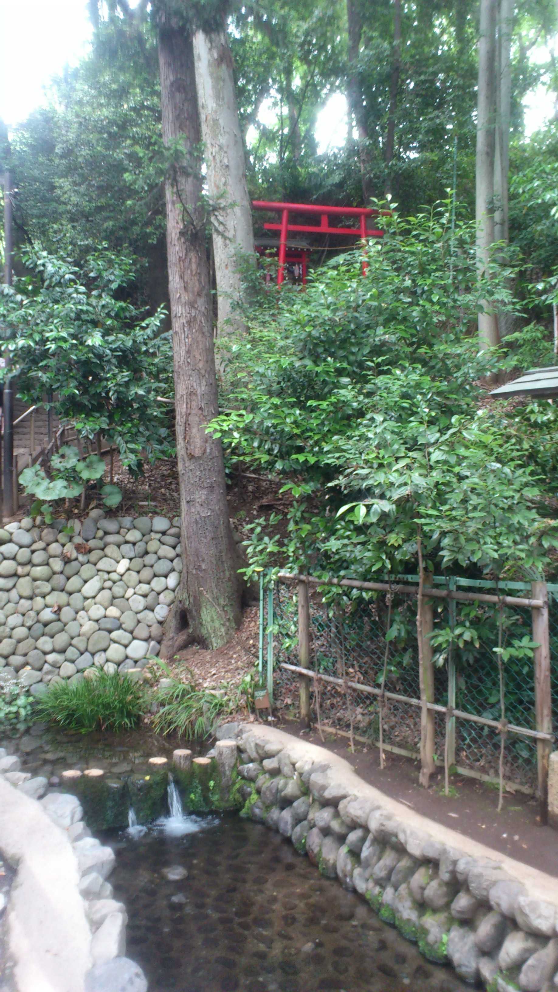 DSC_0137.JPG/></a>