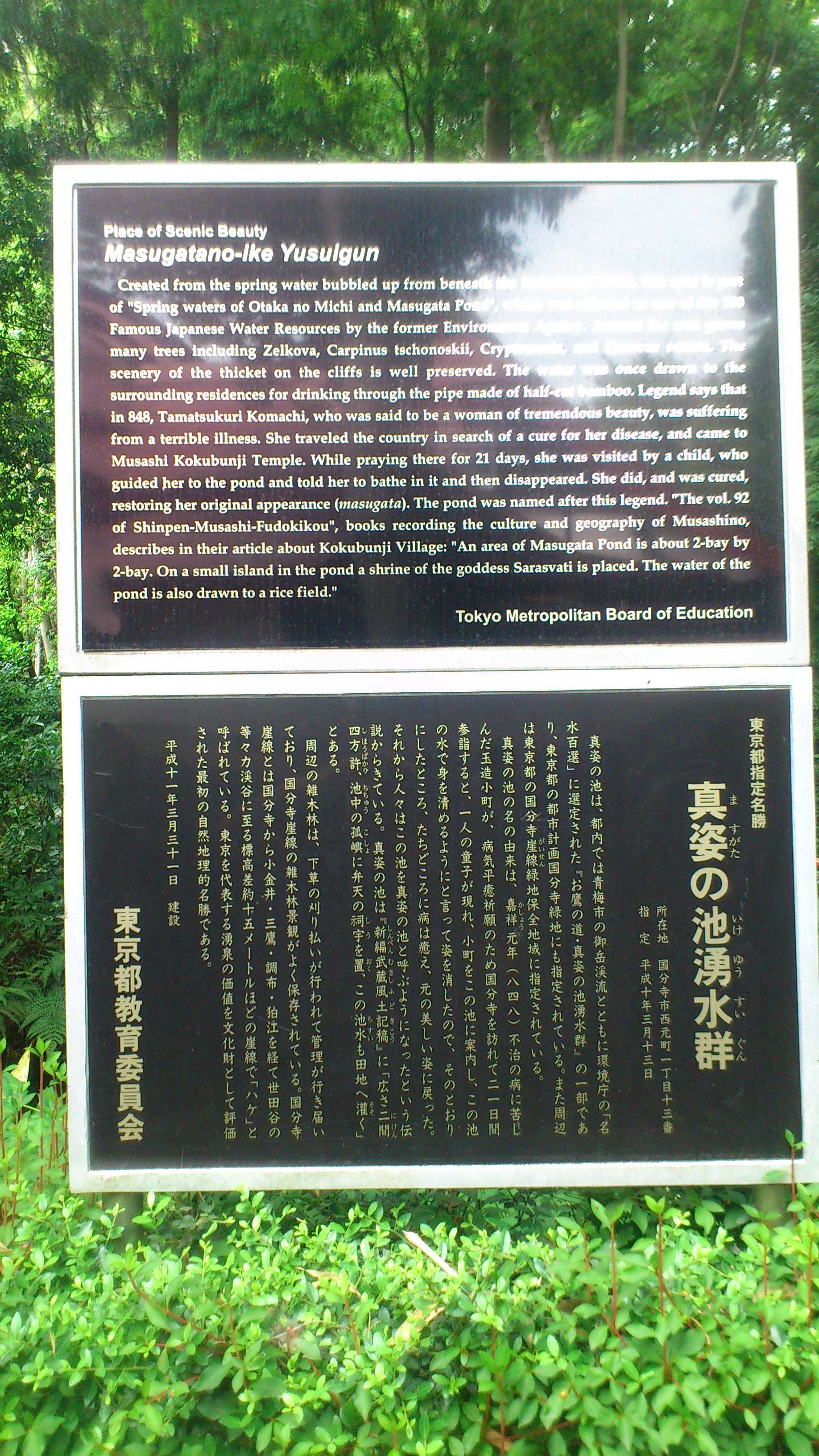 DSC_0141.JPG