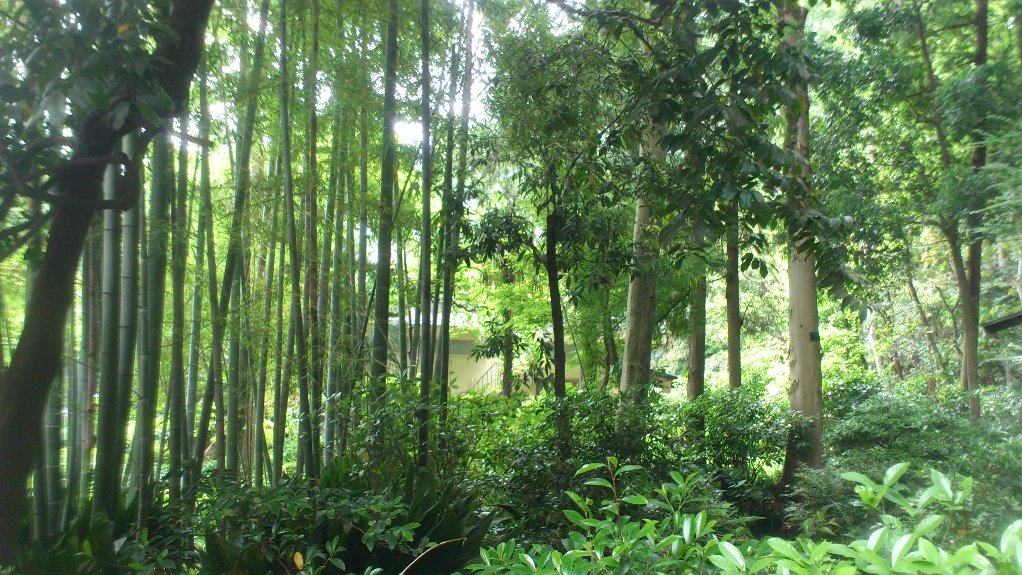 DSC_0143.JPG