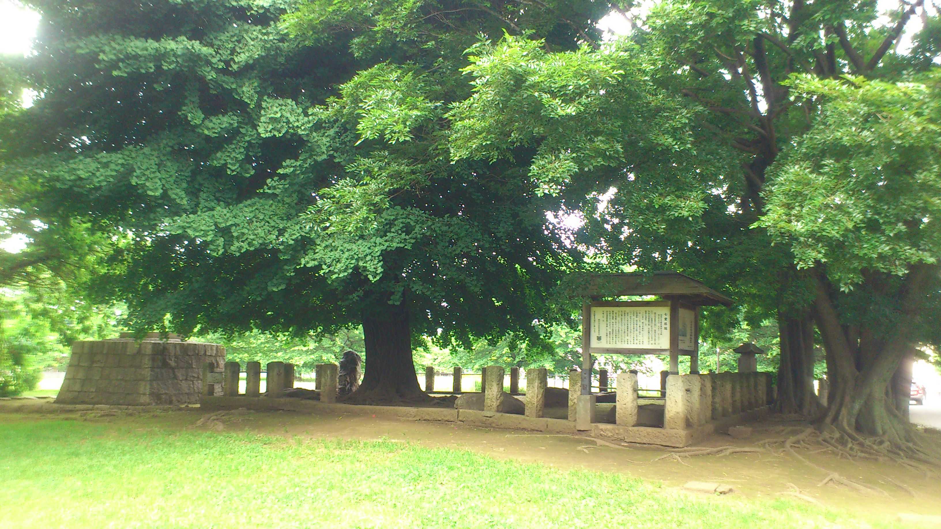 DSC_0145.JPG