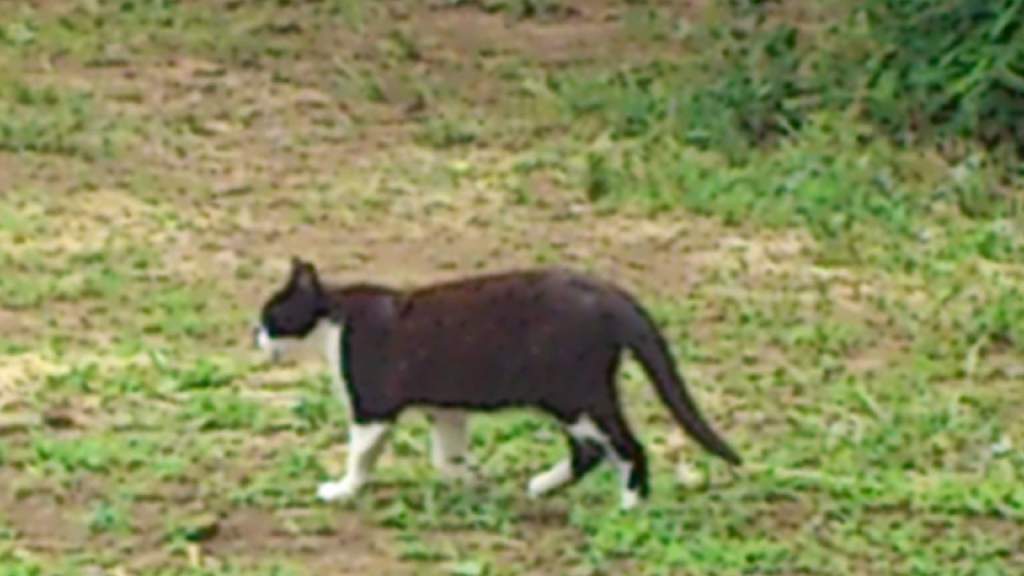 DSC_0149.JPG