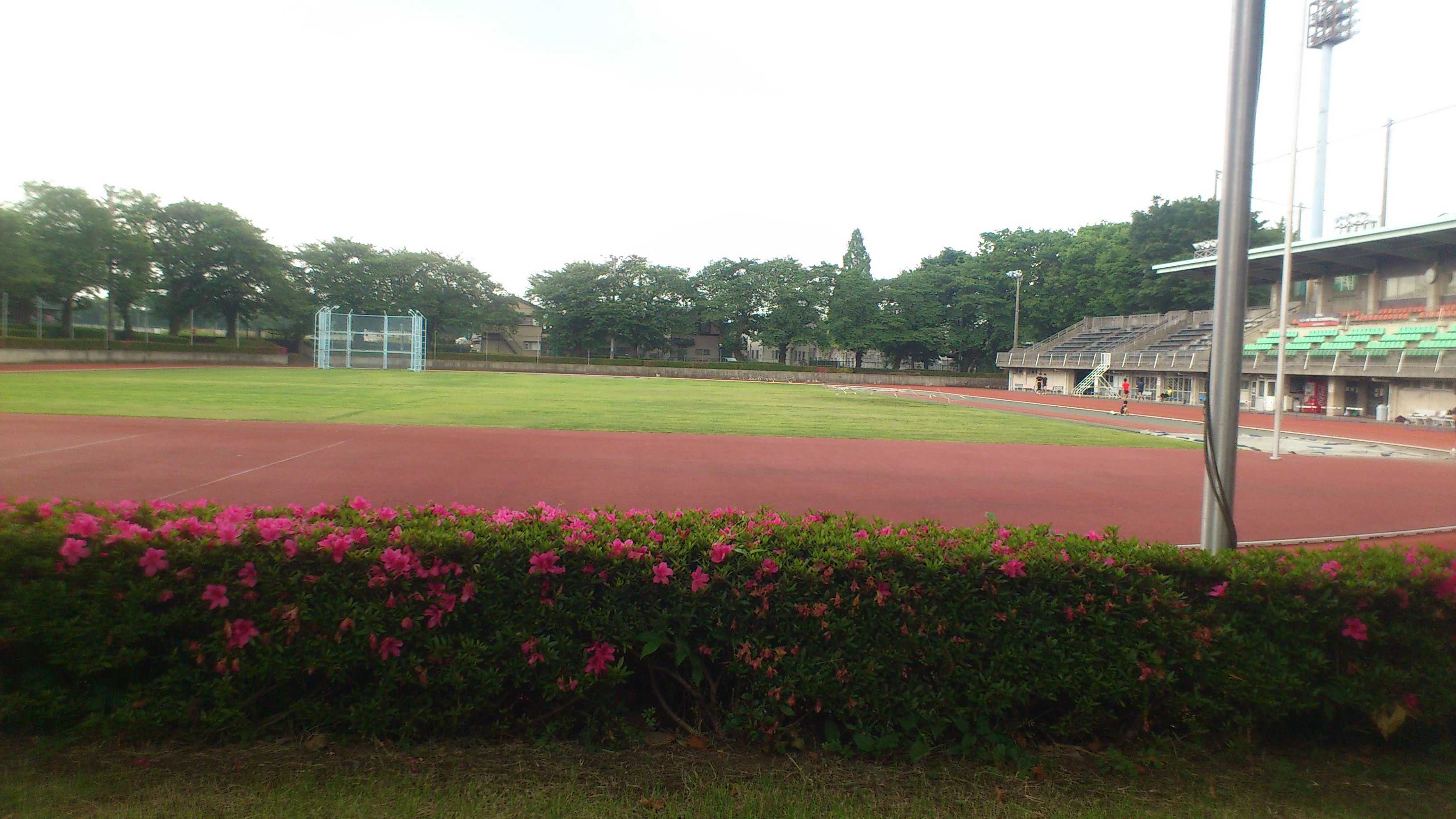 DSC_0159.JPG