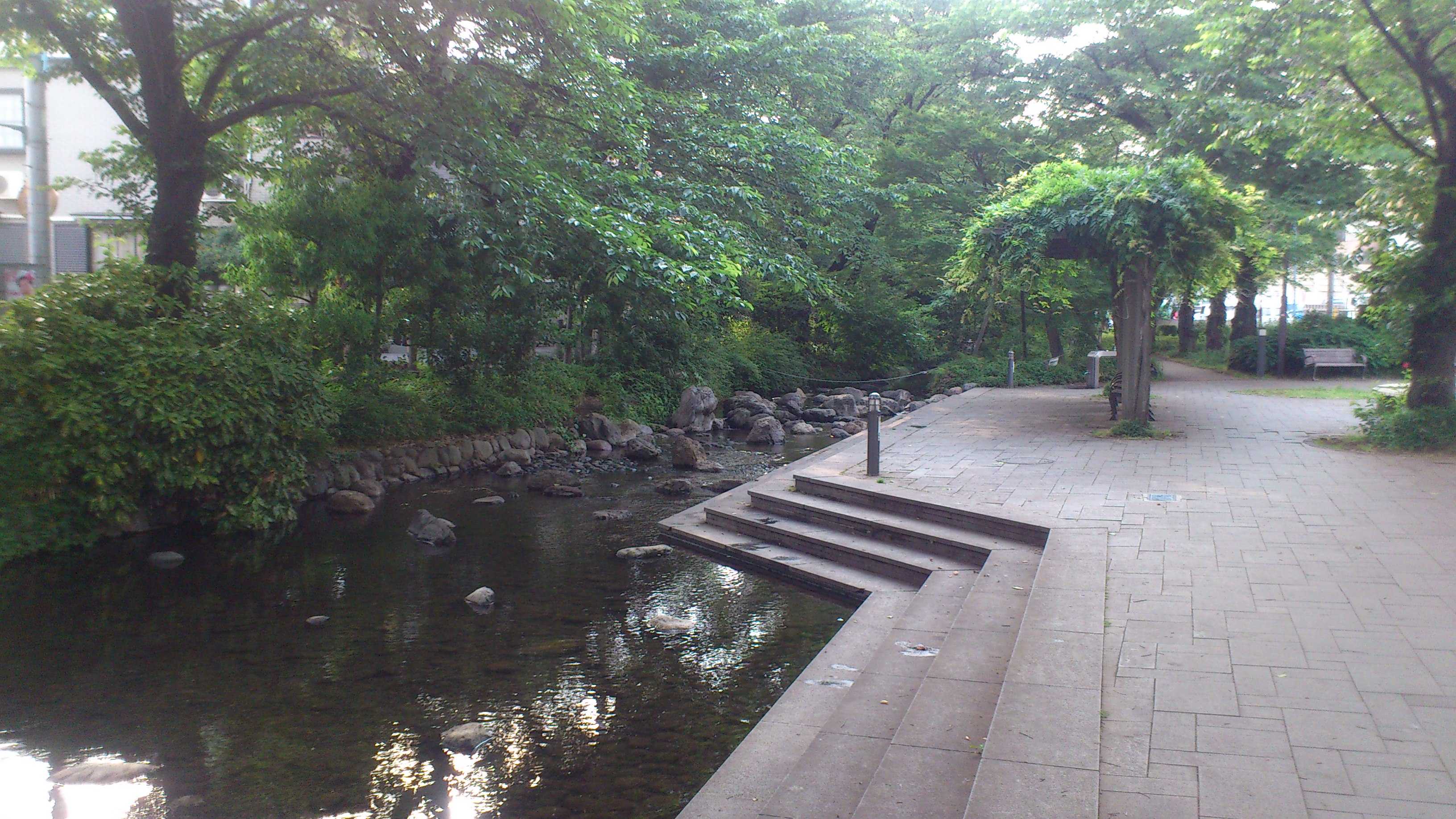 DSC_0177.JPG