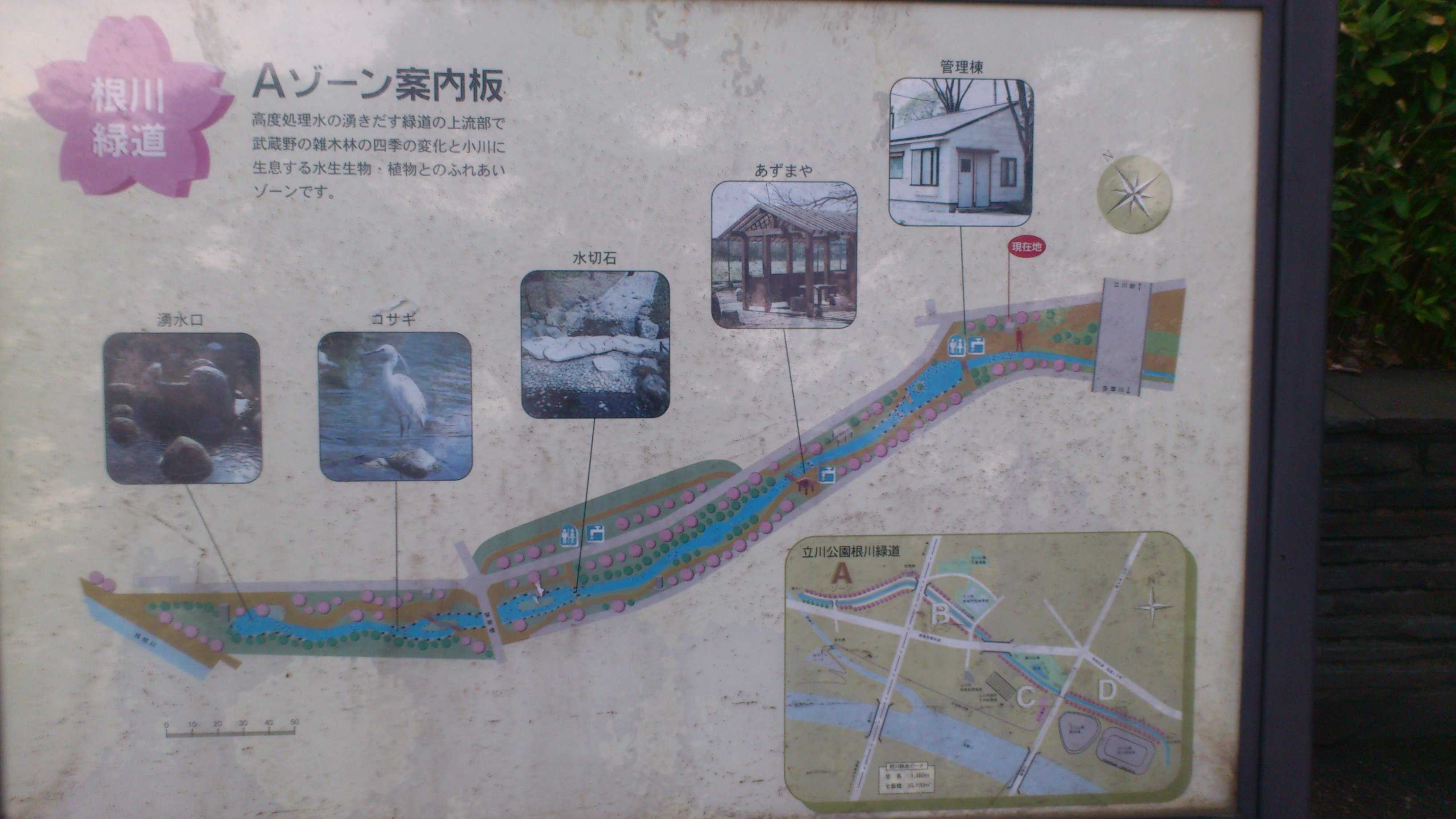 DSC_0179.JPG/></a>