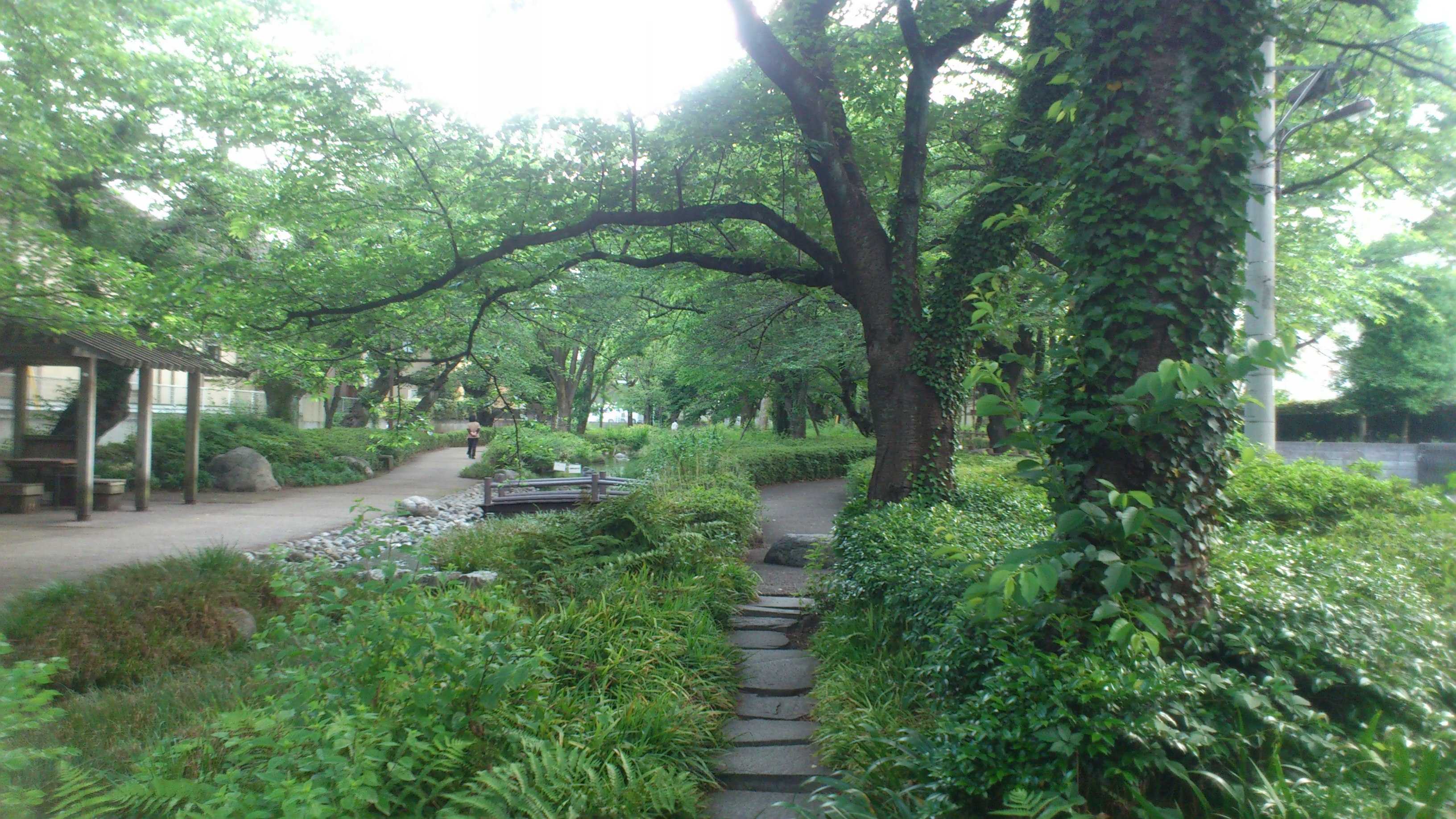 DSC_0181.JPG/></a>