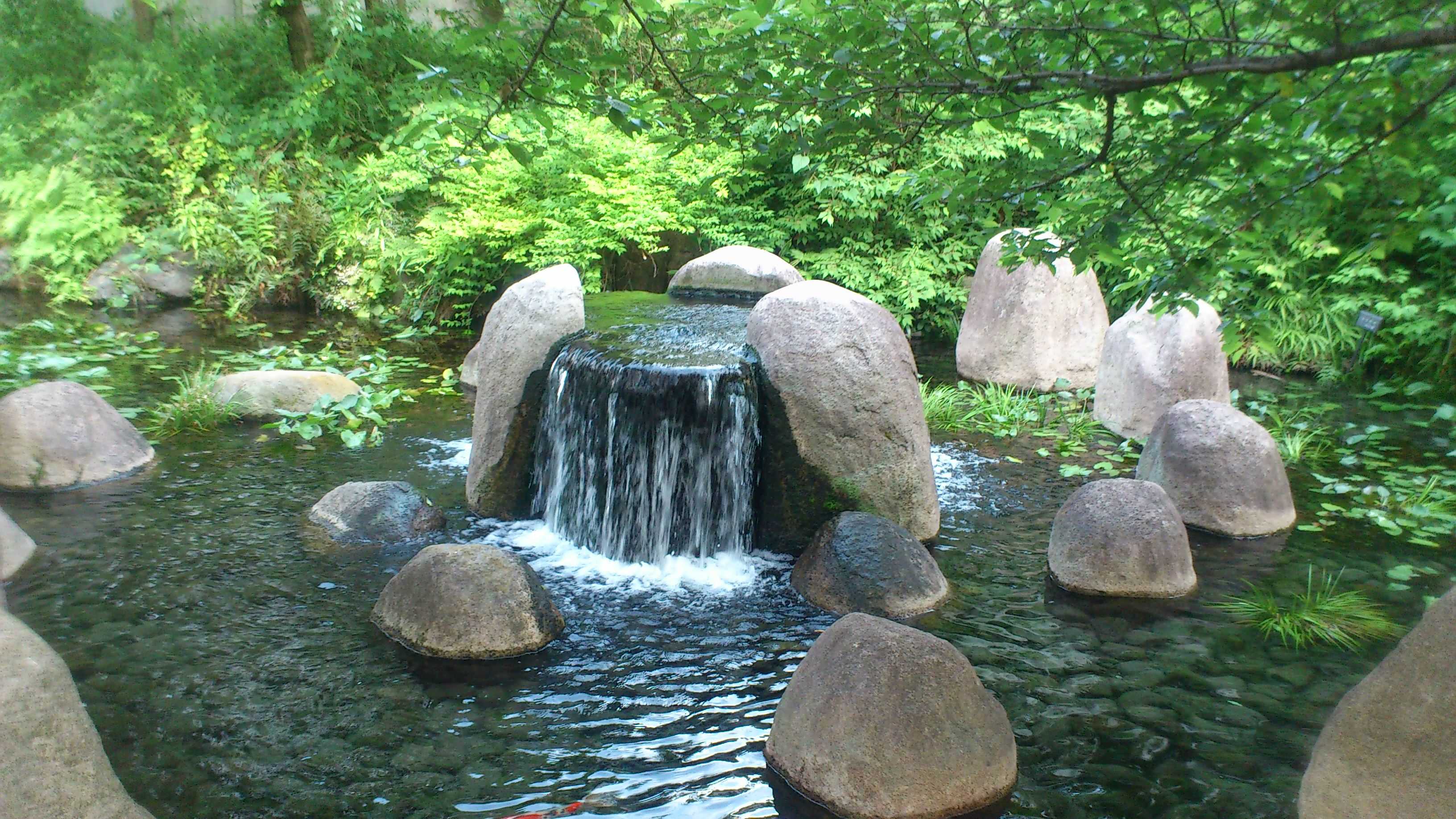 DSC_0183.JPG