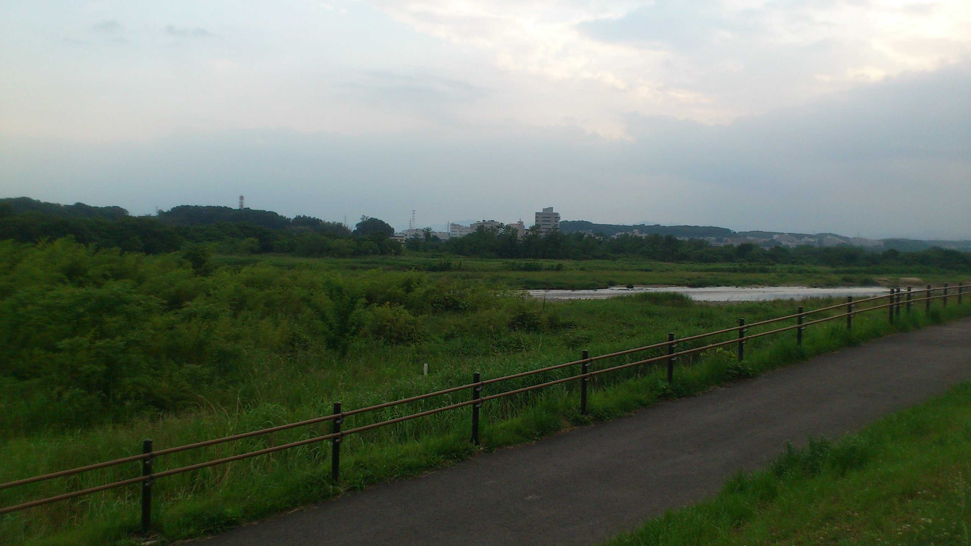 DSC_0190.JPG